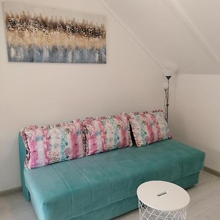 Apartman Andrijana 1 Soko Banja Bagian luar foto