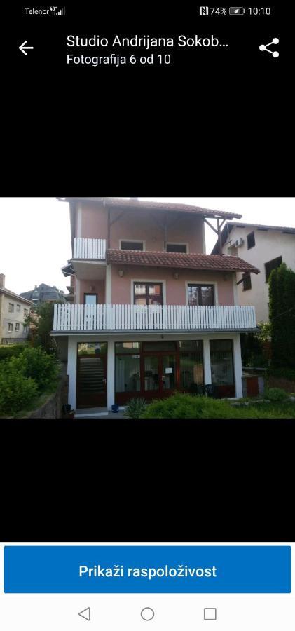Apartman Andrijana 1 Soko Banja Bagian luar foto